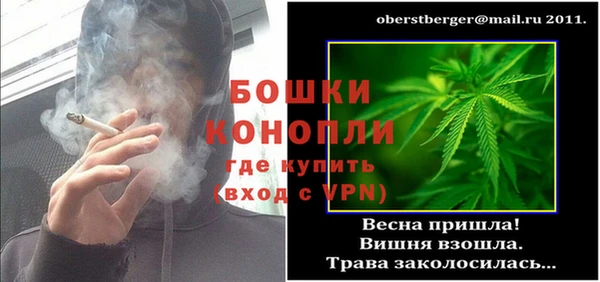 шишки Беломорск