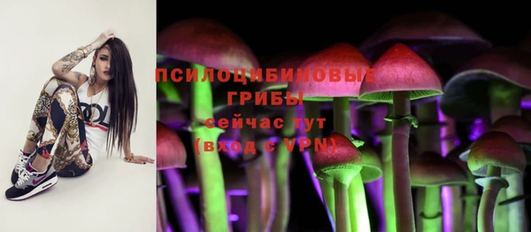 шишки Беломорск